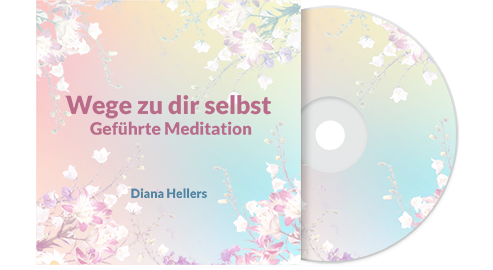 Meditationen Diana Hellers Cover